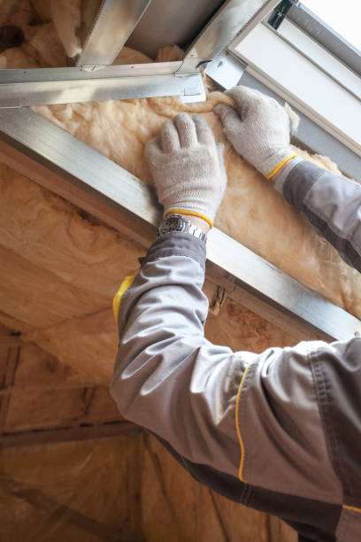 Best Energy Efficiency Insulation in Allegan, MI