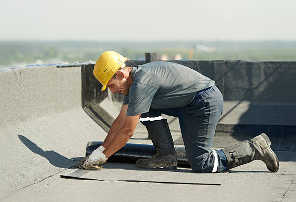 Best Residential Insulation in Allegan, MI