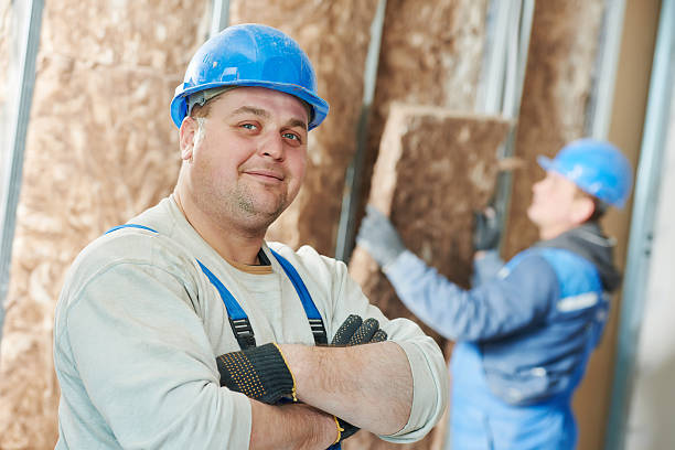 Best Insulation Maintenance and Repair in Allegan, MI