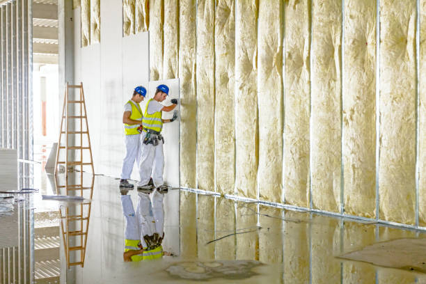 Best Blown-in Insulation in Allegan, MI